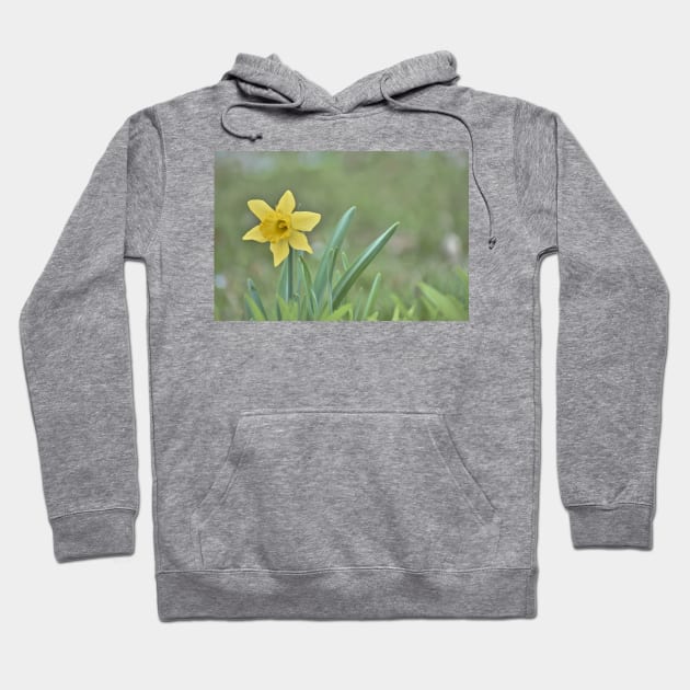 Lone Daffodil Hoodie by A Thousand Words Photography